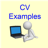 icon CV Examples 11.0