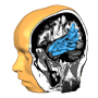 icon Brain Tutor 3D