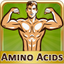 icon Top Amino Acids Food Sources