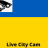 icon Ukrain Cam 1.0