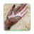 icon Mehndi 1.10