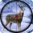 icon Animal Hunting 2019 1.29