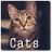 icon Cat Sounds 5.1