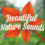 icon Beautiful Nature Sounds