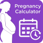icon Pregnancy calculator and calendar