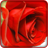 icon flower wallpapers 6.0.4