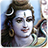 icon 4D Shiva 8.7