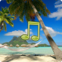 icon Tropical Sounds