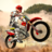 icon Dirt Bike Racing 1.6