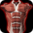 icon Muscles 3D Anatomy 2.0.2