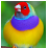 icon Bird Singing: Wild Birds 2.4