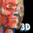 icon com.AnatomyLearning.Anatomy3DViewer3 2.1.322