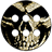 icon com.percy29.theme.skulls Sk