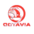icon Octavia VPN 1.0