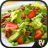 icon Salad Recipes 2.0