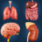 icon My Organs Anatomy 3.4