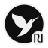 icon VirtualRI_ 1.2