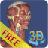 icon 3D Bones and Organs 3.1.0
