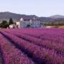 icon Provence
