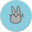 icon Study Bunny 16.5.4