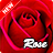 icon Rose Wallpaper 1.5