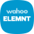 icon ELEMNT 1.38.0.114
