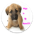 icon GIRL DOG 22.0