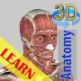 icon 3D Bones and Organs Anatomy