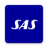icon SAS 3.4.4