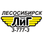 icon ru.taximaster.tmtaxicaller.id1551