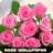 icon Roses flower Wallpapers 2.0