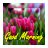 icon Good Morning Everyday Card New 2.4.1