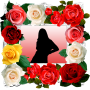 icon Rose Flower Photo Frames