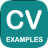 icon CV Examples 19.0