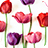 icon Tulip Pattern 1.0.0