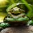 icon Green Frog Live Wallpaper 2