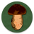 icon Book of mushrooms 4.22