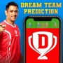icon Dream11 Fantasy Crickets Team Predictions Guide