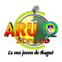icon ARU Stereo