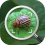 icon Insect Identifier