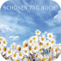 icon Schönen Tag Bilder