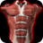 icon Muscles 3D Anatomy 2.1