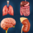 icon Organs Anatomy 2.1