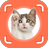icon Cat Identifier 1.0