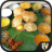 icon Indian Recipes 2.0.2