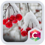 icon Snowy Cherry C launcher Theme