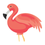 icon com.flamingo.animator