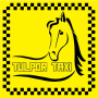 icon Tulpor Taxi
