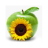 icon Sundhealth 1.1