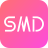 icon SMD 2.9(11142139)